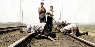 …und dann kam Alfons!