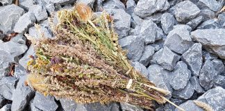 Der „Würzwisch“ Würzwisch