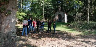 Mit dem Planwagen in der Gemarkung