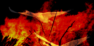 Die Legende von den brennenden Schwänen