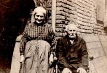 Die Geschäfte der Familie Aumann